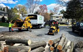Best Lawn Mowing  in Davis, CA
